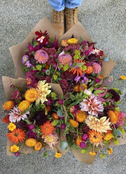 Abonnement bouquet saison complète