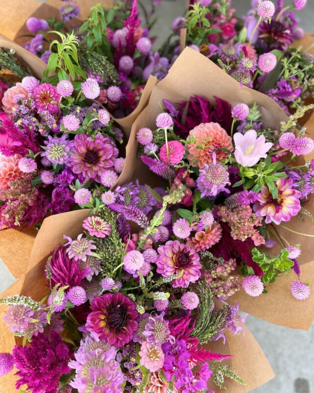 Les abonnements de fleurs fraîches pour la saison 2023 sont désormais disponibles jusque fin mars. 🙌

Alors si vous voulez profiter d’une abondance de couleurs et de parfums je vous invite à faire un petit tour sur notre boutique en ligne pour y commander votre abonnement préféré ! 

Et pour les retardataires c’est aussi l’occasion d’offrir des fleurs autrement et pas juste un jour par an.😁 Vous voyez de quoi je parle pas besoin de piqûre de rappel. 

Bisous 🫶🏼

👉🏼 https://www.pauletteadesfleurs.be/boutique/
Ou par téléphone 0471 07 28 71 

#fleurslocales#fleursdici#cultureslocalesetdesaison#fleursbelges#fleursecologiques#slowflowers#belgiumslowflowers#fleursecoresponsable#florist#seasonalflowers#ecoflowers#pauletteadesfleurs