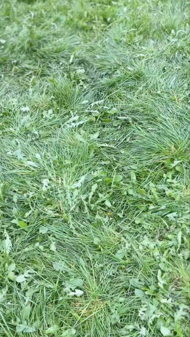C’était il y a une semaine, encore merci d’être venu nombreux à la rencontre de nos petites fleurs. Vous étiez près de 300 à venir partager ce moment et notre passion.

Merci @leagg__ pour ton aide merveilleuse et pour cette belle vidéo 😘