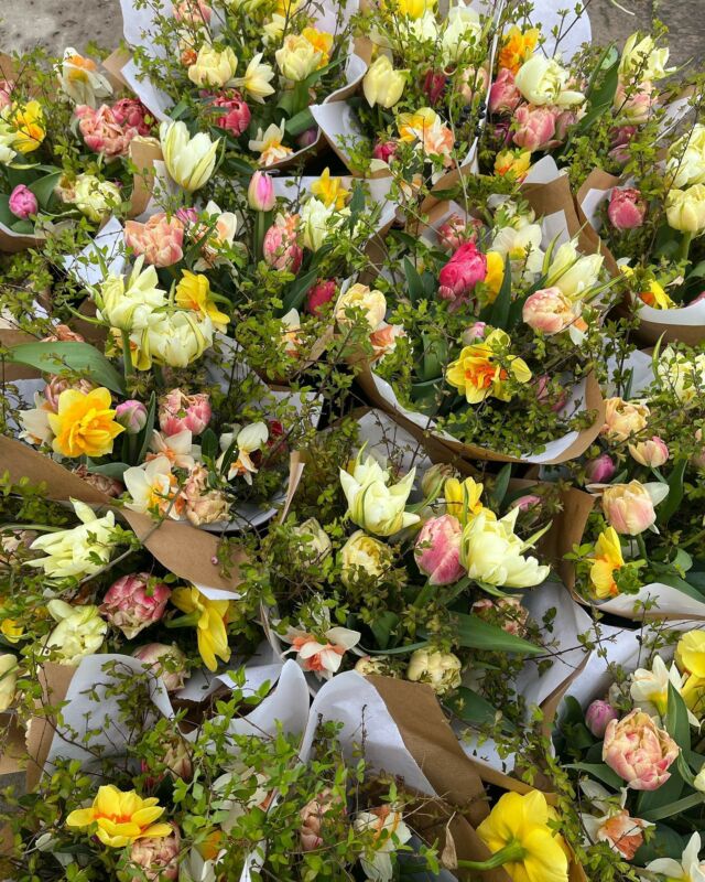 Si vous souhaitez passer commandes pour vos bouquets de ce week end c’est maintenant. 💛

Bouquets pastel ou coloré apt de 25€. 

Les retraits pourront s’effectuer ce dimanche de 10h à 12h et lundi de 9h à 11h.

Réservations 👇
0471 07 28 71
Info@pauletteadesfleurs.be

#slowflowersbelgique#fleursd’ici#slowflower#local#fleursecologiques#fleursecoresponsables#fleursbelges#fleurs#pauletteadesfleurs#bouquet#springflowers