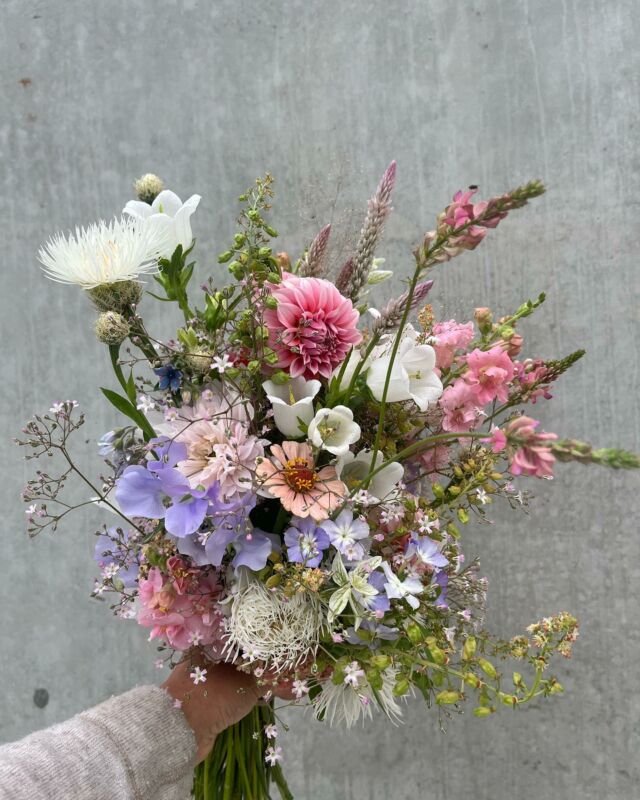 Mariage d’été 🍋 

De jolies couleurs douces et poudrées pour ce bouquet de mariée et full couleurs pour les petits vases. 

Mariage#slowflowersbelgique#pauletteadesfleurs#flowers#fleursbelges#local#fleursecoresponsables#hainaut#fleursecologiques#fleuristeecoresponsable
