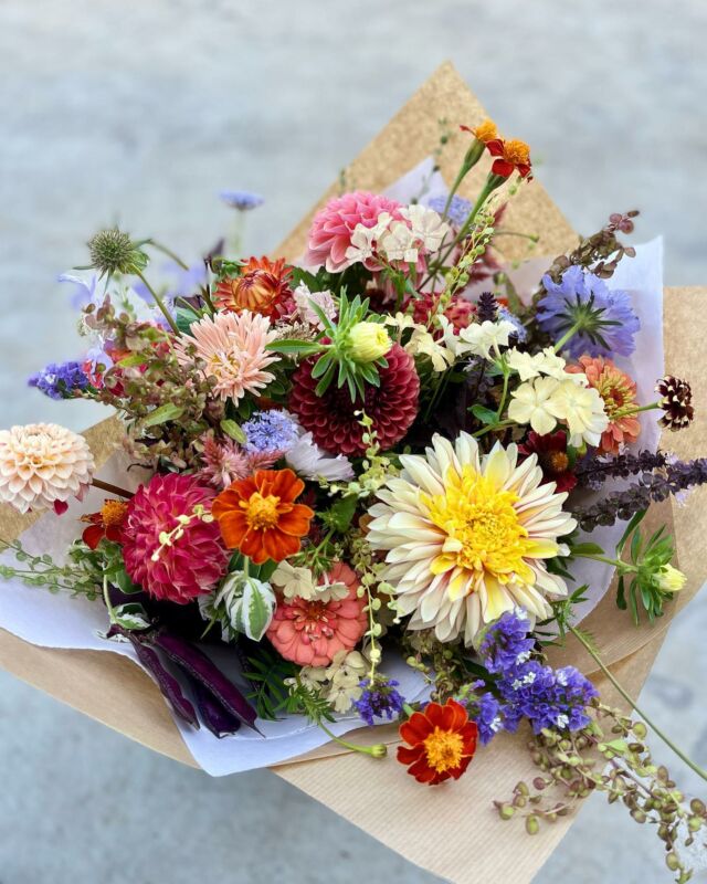 Save the date, notre prochaine PORTE OUVERTE aura lieu le Dimanche 10 septembre.

Nous vous accueillons de 10h à 16h pour découvrir notre production de fleurs coupées locales et de saison. 

Mirabelle et Eglantine seront bien sûr de la partie et elles auront une surprise de taille pour vous 😁 mais je n’en dirais pas plus. 

Nous communiquerons plus en détail sur cette journée et les activités dans les prochains jours. 🥳

Cette année ce sont toutes les productrices wallonnes qui ouvriront leurs portes, pour les découvrir n’hésitez pas à vous rendre sur le site 
https://belgiumslowflowers.be

#slowflowersbelgique#porteouverte#fleursecoresponsables#fleurslocales#fleursbelge#pauletteadesfleurs#organicfarming#flowers
