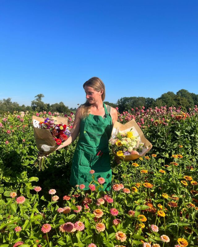 Il est pas beau mon super tablier! 🤩Merci @jejardinelocal et @apaq_w pour cette belle attention et pour les nombreux sachets de graines “prairie fleurie” 

Notre porte ouverte c’est déjà ce dimanche de 10h à 16h donc si vous voulez me voir avec mon beau tablier, découvrir nos cultures et repartir avec l’un de nos bouquets c’est par ici que ça se passe 🥳 

Au programme :

🍹Bar et Petite restauration

🌼 Activité fleuris ton vase 
De 11h à 11h30 et de 14h à 14h30
(place limitée)

💐Quelques bouquets seront disponibles à la vente (quantité limitée)

🐮 Mirabelle, Églantine et leurs SURPRISES vous attendent. 🙈

🛺 parking disponible 

Adresse: chemin de Pierpont 6210 Rêves (en face du n29)