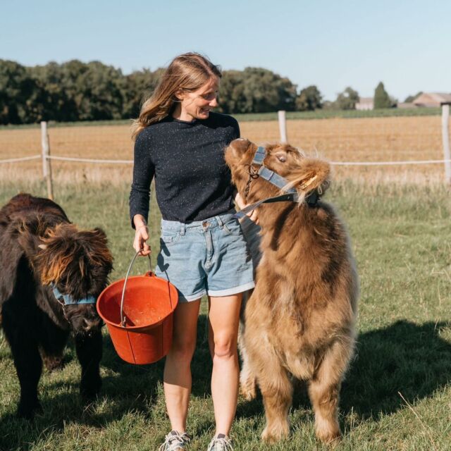 Louve et Myrtille ont pu rejoindre leurs grandes sœurs après une période d’adaptation, pour leur plus grand bonheur. Elles forment désormais un joli petit troupeau de Highlands.🐮

Nous avons également profité des derniers rayons de soleil de cet été pour réaliser un shooting en compagnie de @cynthiatbv.storyteller qui comme toujours fait des merveilles et arrive à suspendre le temps sur chacune de ses photos. 

Nous avons hâte de vous partager ces moments tout au long de l’hiver. ✨