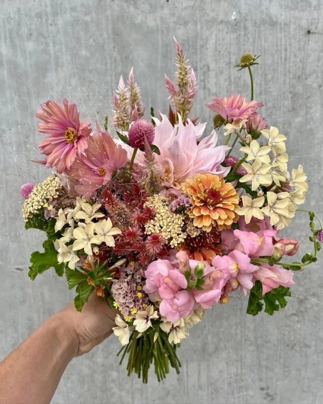 Des fleurs pour toutes les femmes en ce 8 mars. 💜

#journeeinternationaledesdroitsdesfemmes #fleurslocales #fleursdesaison #compositionflorale #slowflowersbelgique #fleursbelgique #pauletteadesfleurs