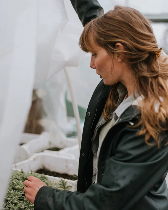 Ça y est, tout recommence… Et bientôt tout fleurira ! 🌱🌷

⏱️ Chaque année, tout repart de zéro de la graine à la fleurs avec une promesse de beauté à venir.

En mars, avril, mai, nous relançons les semis et plantations ! Un signal pour les habitué.e.s : les fleurs arrivent, doucement mais sûrement… Et avec elles, les premiers bouquets du printemps. 💐

💬 Dites-moi, quelle est la fleur que vous attendez avec impatience cette saison ?

#printemps #fleurslocales #fleursdesaison #compositionflorale #slowflowersbelgique #fleursbelgique #pauletteadesfleurs
