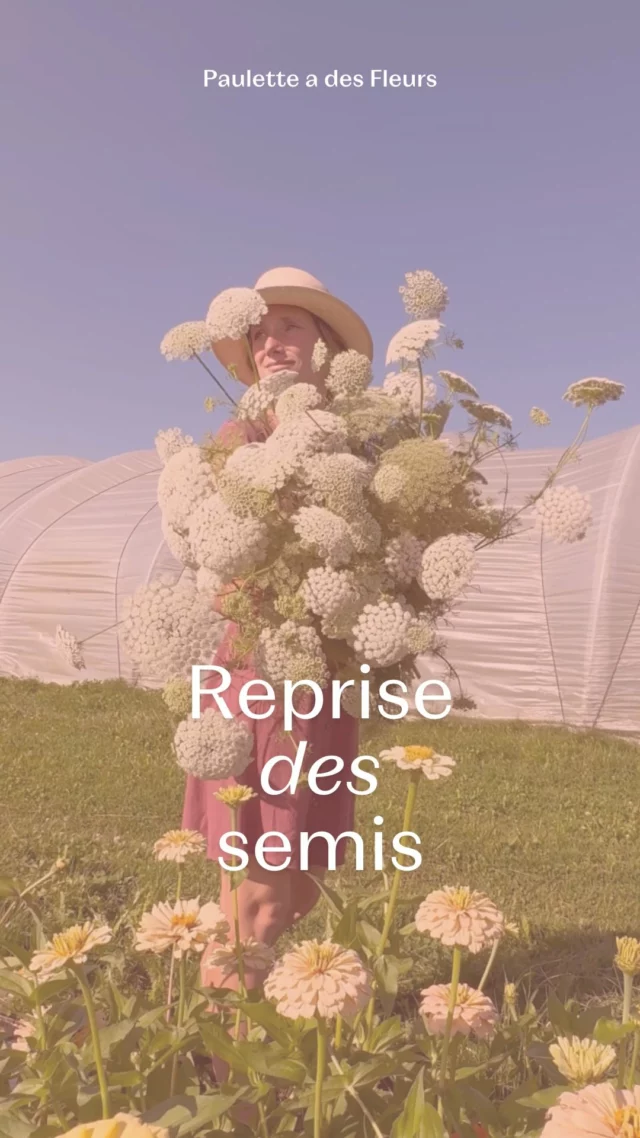 Je vous emmène avec moi dans la réalisation des semis ! 🌱✨

💬 Dites-moi si vous aimez découvrir les coulisses de notre ferme florale ? 

#printemps #fleurslocales #fleursdesaison #compositionflorale #slowflowersbelgique #fleursbelgique #pauletteadesfleurs