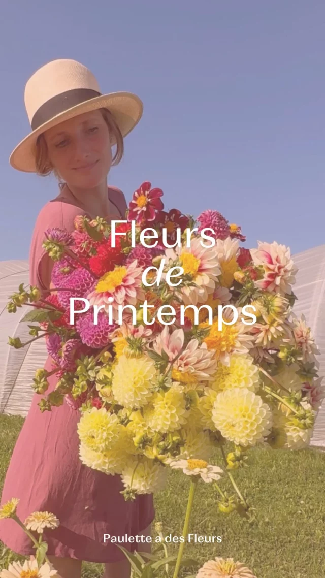 Quelles sont vos fleurs de printemps préférées ? 💕 

🌷 Pendant la saison, on cultive beaucoup de variétés aux formes et styles différents ! Difficile pour moi de vous dire quelle est ma préférée... 🤔 Mais je peux déjà vous annoncer que les premières fleurs du printemps sont en fleurs : Anémones, Narcisses et même quelques Tulipes. ✨ 

En mars, si vous souhaitez en profiter 📍 la boutique est ouverte le samedi de 10h à 18h (mais vous pouvez également passer commande !). 

Dès avril 📍 la boutique sera ouverte du mercredi au samedi, RDV sur notre site pour retrouver nos horaires ! 

#printemps #fleurslocales #fleursdesaison #compositionflorale #slowflowersbelgique #fleursbelgique #pauletteadesfleurs