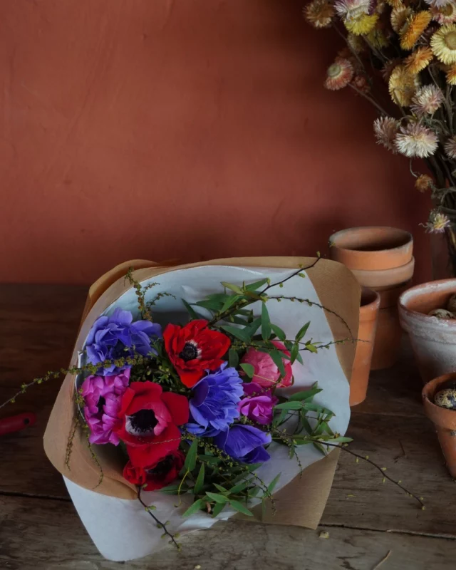 La boutique est ouverte de 10h à 18h du mercredi au samedi ! 🌸

💬 Qui viendra nous rendre visite ? 

#printemps #fleurslocales #fleursdesaison #compositionflorale #slowflowersbelgique #fleursbelgique #pauletteadesfleurs