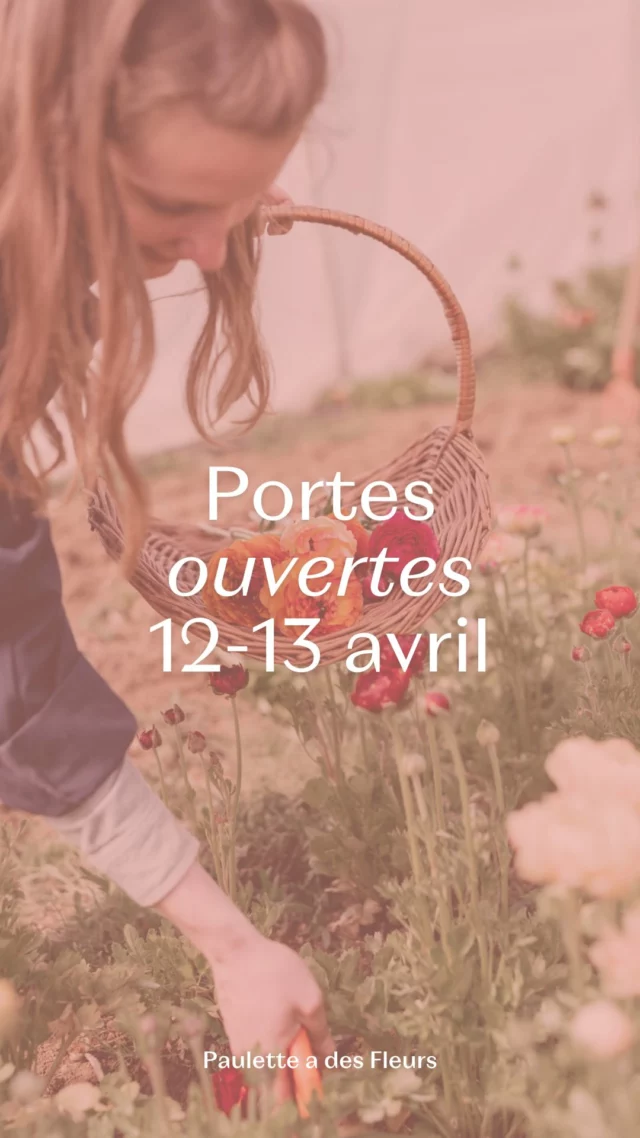 Venez profiter du soleil et des fleurs 🌞🌻 ce week-end du 12 et 13 avril de 10h à 18h au champs de Paulette a des Fleurs ! 🫶

📍Chemin de Pierpont 50 à 6210 Rèves.

Qui vient ? 🙋‍♀️🙋

@jejardinelocal #Hortidécouvertes #printemps #fleurslocales #fleursdesaison #compositionflorale #slowflowersbelgique #fleursbelgique #pauletteadesfleurs