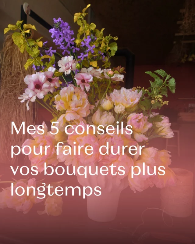 Vous adorez vos bouquets ? 💐 Apprenez à en prendre bien soin pour les garder plus longtemps ! 🥰

👉 Voici 5 gestes simples pour prolonger leur fraîcheur et profiter pleinement de leurs couleurs et parfums.

Pour repartir avec un bouquet local et de saison 📍 RDV en boutique du mercredi au samedi de 10h à 18h au Chemin de Pierpont 50 à 6210 Rèves !

#fleurslocales #fleursdesaison #compositionflorale #slowflowersbelgique #fleursbelgique #pauletteadesfleurs