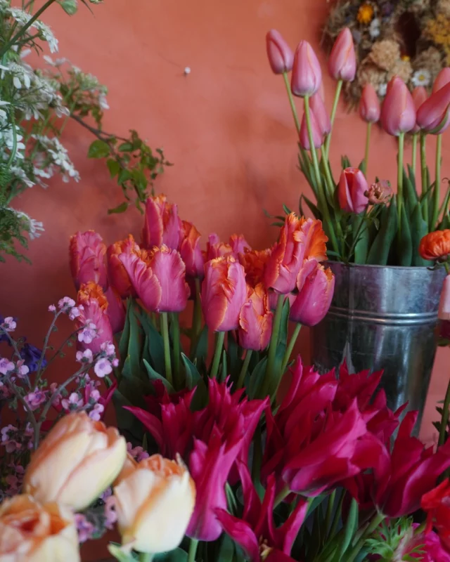 Dernier appel pour nos tulipes ! 🌷📣

C’est le tout dernier week-end (et la semaine prochaine) pour venir cueillir ou composer avec nos tulipes locales, fraîches et pleines de couleurs. Après ça… Il faudra attendre le printemps prochain pour les revoir au champ.

 📍 RDV en boutique du mercredi au samedi de 10h à 18h au Chemin de Pierpont 50 à 6210 Rèves.

Qui vient profiter d’un dernier bouquet de tulipes ? 💬 

#tulipes #fleurslocales #fleursdesaison #compositionflorale #slowflowersbelgique #fleursbelgique #pauletteadesfleurs
