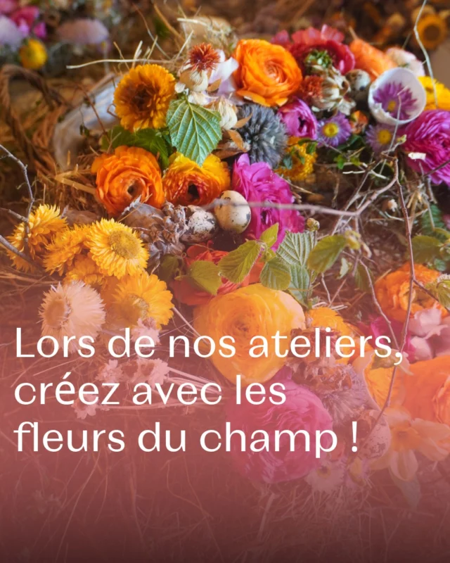 Les prochains ateliers seront baignés de lumière… Et de fleurs d’été ! 💐🌞 

L’atelier du samedi 6 septembre (avec mini formation et récolte au champ) est déjà complet…
👉 Bonne nouvelle : une 2ème date est ouverte le samedi 13 septembre !

Et ce n’est pas tout… 📣 Il reste quelques places pour nos autres ateliers créatifs à venir : ⤵️
✅ Centres de table écoresponsables
✅ Cadres et couronnes en fleurs séchées
✅ Et bien sûr… Nos ateliers à la carte, rien que pour vous !

Envie d’une expérience florale sur-mesure pour un groupe, un EVJF ou une surprise entre amies ? 💡  Je propose aussi des ateliers privés, à créer ensemble.

✨ Une belle idée à glisser pour la fête des mères qui approche…

Toutes les infos & réservations via notre site web en bio 👆 dans la rubrique "ATELIERS & FORMATIONS" ! 👆

Alors quel atelier vous tente le plus ?

#atelierfloral #fleursdesaison #fleurslocales #pauletteadesfleurs #slowflowers #fetedesmamans #ideecadeau #floriculturebelgique
#atelierfloral #couronnedefleurs #pauletteadesfleurs #souvenirfleuri #fleurslocales #slowflowersbelgique