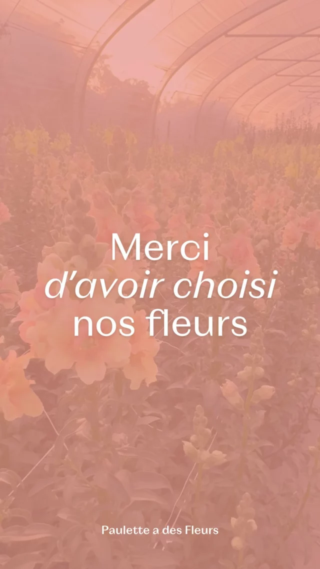Merci d’avoir fêté vos mamans avec nos douces fleurs. 🌸

Vous avez été nombreuses et nombreux à passer à la boutique, à commander, à poser vos questions et surtout… À choisir des fleurs locales et de saison pour célébrer la Fête des Mères. 💐

✨ Votre enthousiasme, votre bienveillance et vos sourires ont rempli le champ autant que les fleurs. Merci d’avoir fait le choix du local, du naturel et de l’authentique. C’est grâce à vous que Paulette a des Fleurs continue de grandir, saison après saison. 

Quelles fleurs avez-vous choisi pour célébrer la maman de votre vie ? 💬 

#fetedesmeres #fleurslocales #atelierfloral #bouquetfrais #fleursdesaison #cadeaufleuri #slowflowersbelgique #pauletteadesfleurs