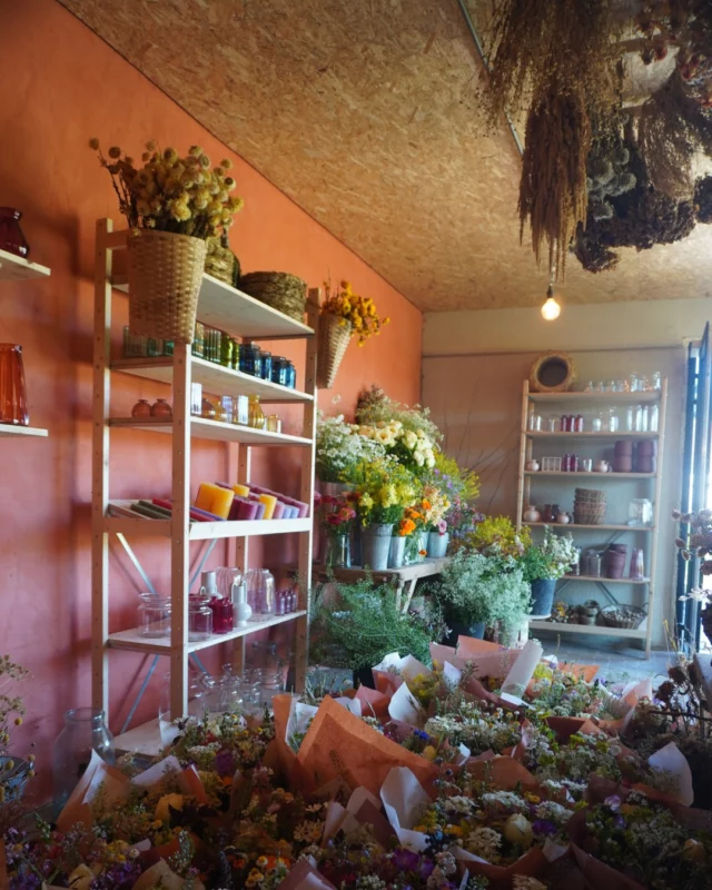 Envie d’un atelier fleuri… Rien que pour vous ? 🌸

Avec la construction de notre bel atelier au cœur du champ, tout est possible : ⤵️
👉 Choisissez votre thème (couronne, bouquet, cadre fleuri…).
👉 Choisissez votre date.
👉 Composez votre groupe (anniversaire, EVJF, réunion de famille...).

Un moment unique, créatif et sur mesure, entouré de fleurs locales et de saison. ✨

📍 Tous nos ateliers réguliers sont aussi ouverts à la réservation : confection de bouquets d'été, couronnes en fleurs séchées, cadres fleuris,...

Quelques dates sont déjà complètes alors n’attendez pas pour réserver votre atelier coup de cœur !

Contactez-moi directement pour créer votre événement sur mesure 📞 +32 (0)471 07 28 71 !

💬 Quelle création rêvez-vous de réaliser entre amies ou en famille ?

#atelierfloral #fleursdesaison #fleurslocales #slowflowers #ideecadeau #floriculturebelgique #souvenirfleuri #fleurslocales #slowflowersbelgique #pauletteadesfleurs