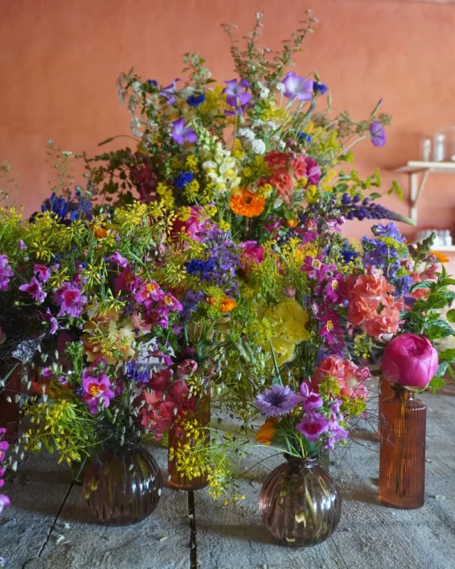 Pensez aux fleurs locales et de saison pour vos petits et grands moments à fleurir. 💜👇 

Quelle est votre déco préférée ?

#fleurslocales #fleursdesaison #compositionflorale #slowflowersbelgique #fleursbelgique #pauletteadesfleurs