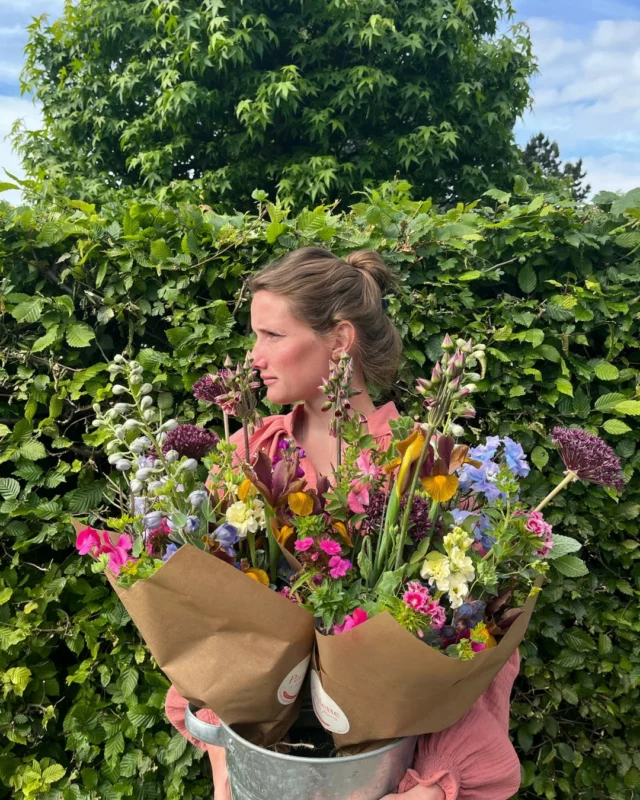 Fleurs fraîches, bouquets du moment et créations séchées vous attendent au Chemin de Pierpont 50 à Rèves ! 😍 La boutique est ouverte du mercredi au samedi de 10h à 18h. 📆

#fleurslocales #boutiquefleurie #fleursdesaison #floriculturebelgique #slowflowersbelgique #pauletteadesfleurs