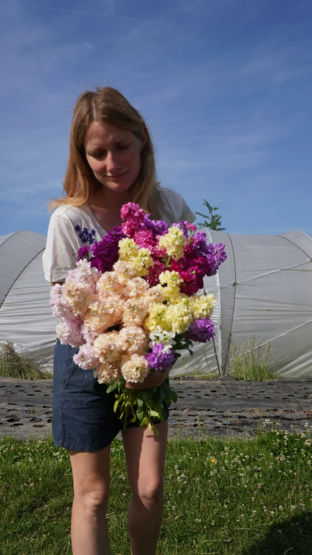 Vous la reconnaissez ? 🤓🌸 Je vous en parle très bientôt ! 📣

#fleurslocales #boutiquefleurie #fleursdesaison #floriculturebelgique #slowflowersbelgique #pauletteadesfleurs