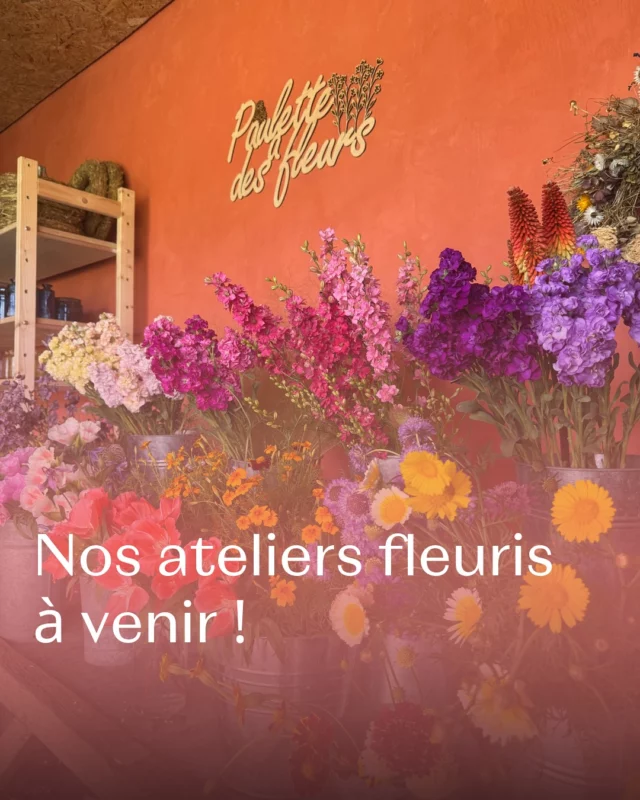 Un atelier vous tente ? 🌻🥰 Réservez votre place dès maintenant sur notre site web en bio !

#atelierfleuri #ateliersfloraux #fleurslocales #boutiquefleurie #fleursdesaison #floriculturebelgique #slowflowersbelgique #pauletteadesfleurs