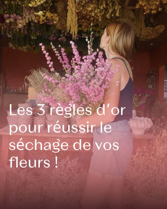 Sécher ses fleurs à la maison ? 🌸  Voici les 3 règles d’or à connaître pour ne pas se louper ! 💡

N’oubliez pas de les enregistrer pour toujours les avoir sous la main. 🤓

#fleurslocales #boutiquefleurie #fleursdesaison #fleuristebelgique #floriculturebelgique #slowflowersbelgique #pauletteadesfleurs