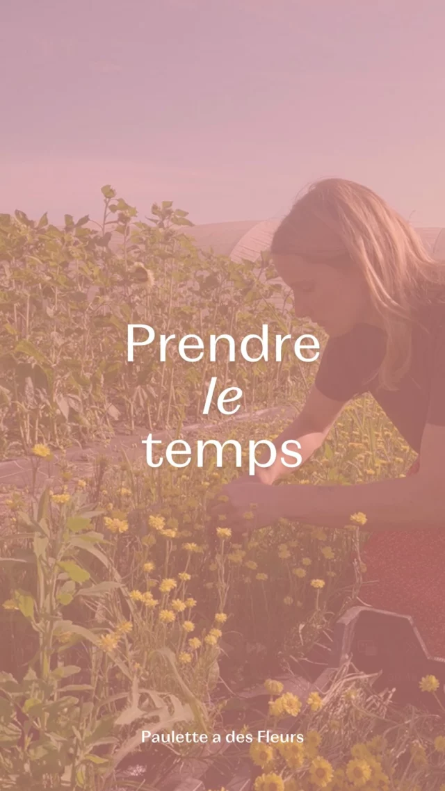 Et vous, vous profiteriez d’une pause pour faire quoi ? ✨

#fleurslocales #boutiquefleurie #fleursdesaison #fleuristebelgique #floriculturebelgique #slowflowersbelgique #pauletteadesfleurs