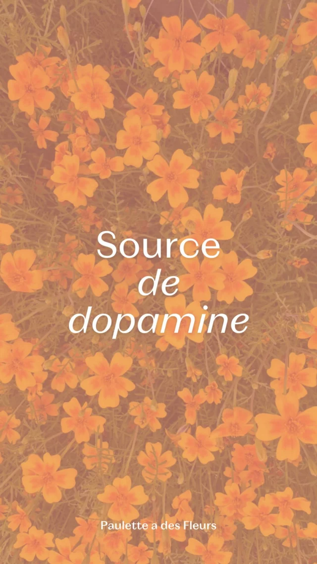 Ma source de dopamine à moi 🌼 c’est quoi la vôtre ? 🌞

#fleurslocales #boutiquefleurie #fleursdesaison #fleuristebelgique #floriculturebelgique #slowflowersbelgique #pauletteadesfleurs