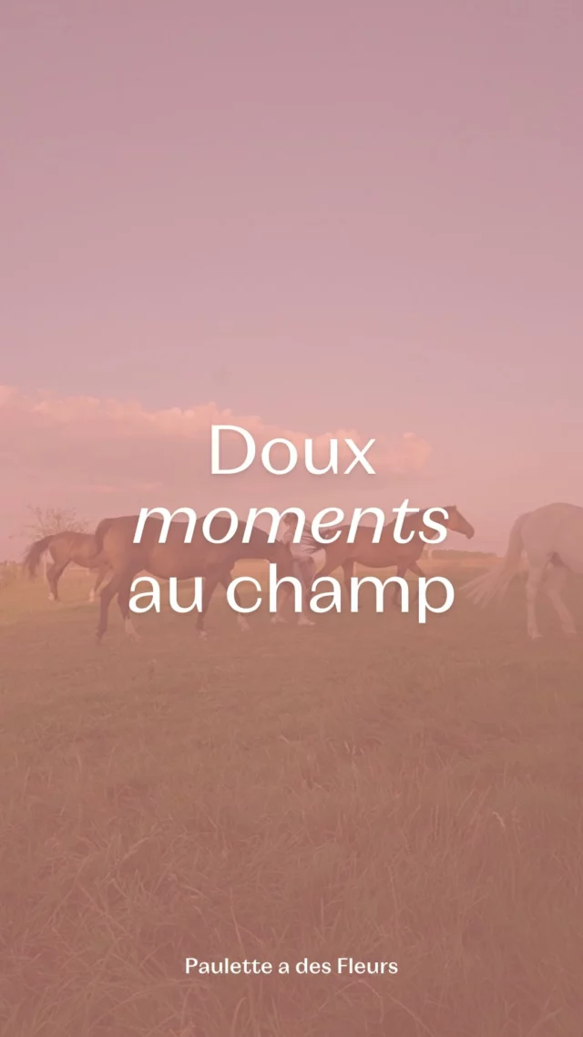 Nos doux moments au champ ! 🥰 Ça vous plait qu’on vous les partage ?

#champ #fleurslocales #boutiquefleurie #fleursdesaison #fleuristebelgique #floriculturebelgique #slowflowersbelgique #pauletteadesfleurs