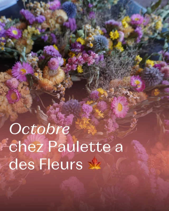 Dites-nous 💬 quel est le moment qui marque votre mois d’octobre ? 🍁

#octobre2025 #october2025 #fleurslocales #boutiquefleurie #fleursdesaison #fleuristebelgique #floriculturebelgique #slowflowersbelgique #pauletteadesfleurs