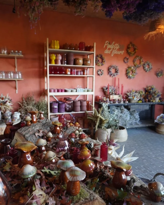Nos fleurs 100% locales et de saison sont à retrouver à la boutique 📅 le jeudi de 14h à 18h puis le vendredi & le samedi de 10h à 18h au 📍 Chemin de Pierpont 50 à Rèves ! 🌼

#decoautomne #fleurssechees #atelierfleuriste #fleurslocales #boutiquefleurie #fleursdesaison #fleuristebelgique #floriculturebelgique #slowflowersbelgique #pauletteadesfleurs