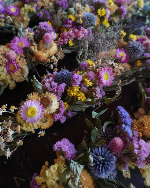 Choisissez vos fleurs 100% locales et de saison 📅 le jeudi de 14h à 18h puis le vendredi & le samedi de 10h à 18h au 📍 Chemin de Pierpont 50 à Rèves ! 🌸

#decoautomne #fleurssechees #atelierfleuriste #fleurslocales #boutiquefleurie #fleursdesaison #fleuristebelgique #floriculturebelgique #slowflowersbelgique #pauletteadesfleurs