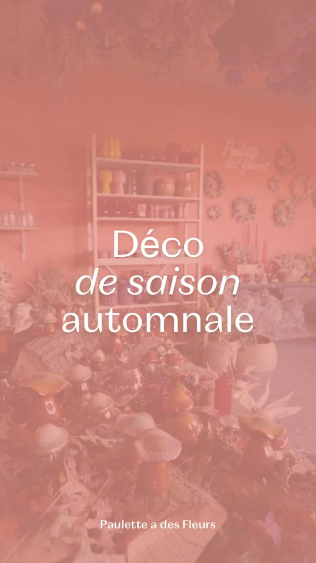 En attendant Noël ⏱️ l’atelier se pare de sa plus belle déco d’automne : passez nous voir et respirez la saison ! 🍂✨

📣 Nouveaux horaires d’hiver de novembre à mars inclus : la boutique vous accueille 📅 le jeudi de 14h à 18h puis le vendredi & le samedi de 10h à 18h au 📍 Chemin de Pierpont 50 à Rèves !

#decoautomne #fleurssechees #atelierfleuriste #fleurslocales #boutiquefleurie #fleursdesaison #fleuristebelgique #floriculturebelgique #slowflowersbelgique #pauletteadesfleurs