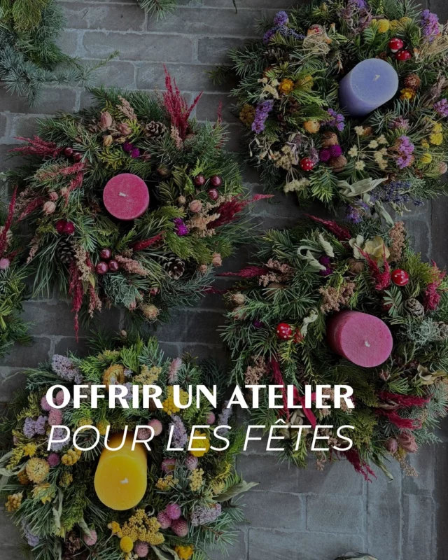 PS : on vous prépare l’agenda des abonnements 2026... 🎁✨

📣 Nouveaux horaires d’hiver de novembre à mars inclus : la boutique vous accueille 📅 le jeudi de 14h à 18h puis le vendredi & le samedi de 10h à 18h au 📍 Chemin de Pierpont 50 à Rèves !

#abonnementsfleurs #cartecadeau #ateliersfloraux #fleurslocales #boutiquefleurie #fleursdesaison #fleuristebelgique #floriculturebelgique #slowflowersbelgique #pauletteadesfleurs