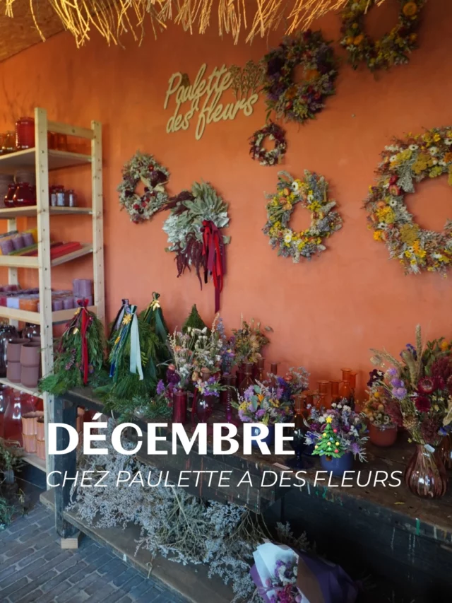 Envie d’idées cadeaux locales, d’ambiances de Noël et d’une nocturne conviviale à Rèves ? On vous attend du 19 au 21 décembre ! ✨🎄

Vous serez là ?

#nocturnedenoel #ideescadeaux #fetes2025
#fleurslocales #boutiquefleurie #fleursdesaison #fleuristebelgique #floriculturebelgique #slowflowersbelgique #pauletteadesfleurs