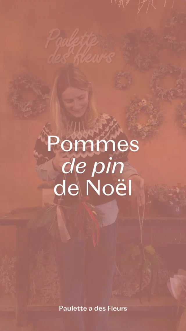 Mes petites créations de Noël : vous aimez les pommes de pin de Noël ? 🥰🎄

#ideescadeaux #nocturnedenoel #cadeauxlocaux
#fleurslocales #boutiquefleurie #fleursdesaison #fleuristebelgique #floriculturebelgique #slowflowersbelgique #pauletteadesfleurs