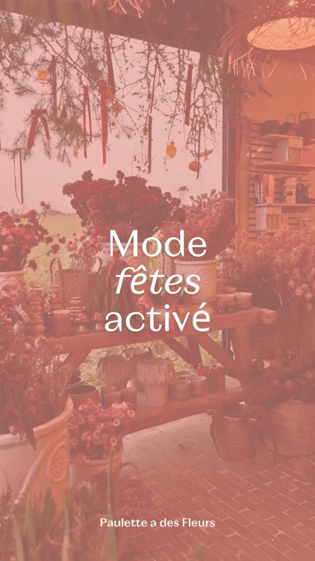 Mode fêtes activé : quel est votre coin préféré ? 😍 Le 1er aux tons rouges-roses ? Le 2ème aux tons verts-bleus ? Le 3ème aux tons blancs-pastels ? Le 4ème aux tons jaunes-naturels ? ✨

Des idées cadeaux poétiques 100% locales et faites main à Rèves : petits prix 5-10 €, belles pièces dès 25€, abonnements & bons cadeaux… Passez en boutique 📍Chemin de Pierpont 50 ! 🎁

⏱️ Horaires d’hiver : jeudi 14–18h, vendredi & samedi 10–18h
📆 Nocturne de Noël : 19–21 décembre, ven–sam 10–21h, dim 10–17h.

#ideescadeaux #noelbelgique #fleurssechees
#fleurslocales #boutiquefleurie #fleursdesaison #fleuristebelgique #floriculturebelgique #slowflowersbelgique #pauletteadesfleurs