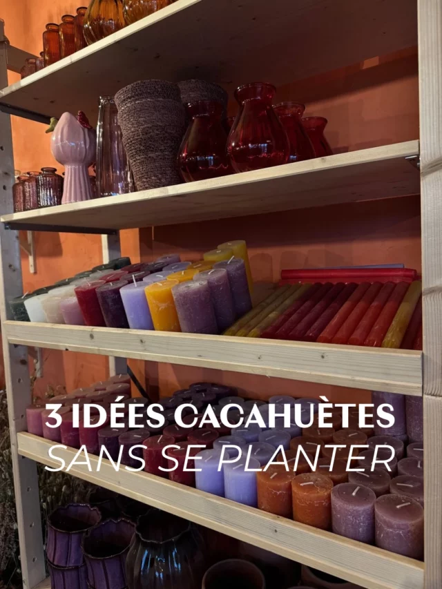 Vous ne savez pas quoi offrir pour votre cacahuète de Noël ? 🤯 No stress, il est encore temps de venir la chercher en boutique 📍Chemin de Pierpont 50 ! 🎁

⏱️ Horaires d’hiver : jeudi 14–18h, vendredi & samedi 10–18h
📆 Nocturne de Noël : 19–21 décembre, ven–sam 10–21h, dim 10–17h.

#ideescadeaux #nocturnedenoel #cadeauxlocaux
#fleurslocales #boutiquefleurie #fleursdesaison #fleuristebelgique #floriculturebelgique #slowflowersbelgique #pauletteadesfleurs