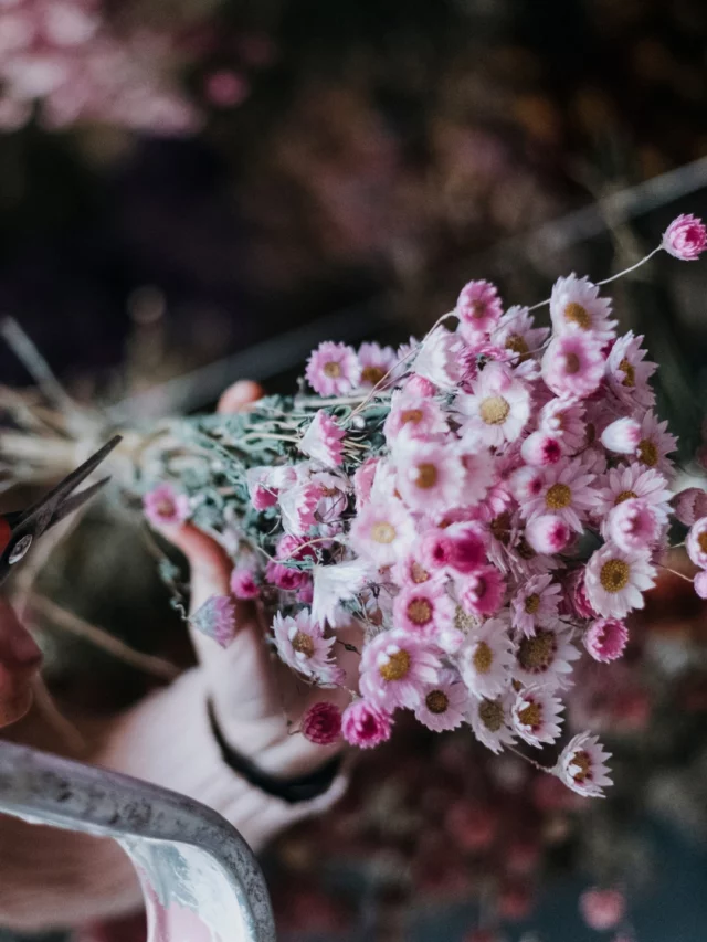 Après nos congés d’hiver les batteries sont réchargées, réouverture ce jeudi 22/01 : 

La saison redémarre doucement, les premiers semis sont au chaud sous la serre et les fleurs sont attendue pour mars… encore un peu de patience pour les fleurs fraiches ! Mais ont vous attend en boutique avec nos jolies fleurs séchées et nos décos!🥰💐

#fleurslocales #fleursdesaison #boutiquefleurie #slowflowersbelgique #pauletteadesfleurs »