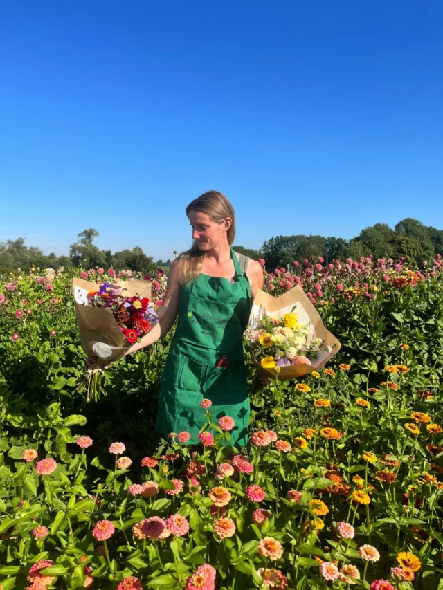 Tic, tac, tic, tac... ⏱️ Encore un petit mois à patienter avant de replonger dans les couleurs et le parfum de nos fleurs de saison... 🌈 En attendant, je vous laisse avec quelques souvenirs de l’été passé !

#fleurslocales #fleursdesaison #boutiquefleurie #slowflowersbelgique #pauletteadesfleurs