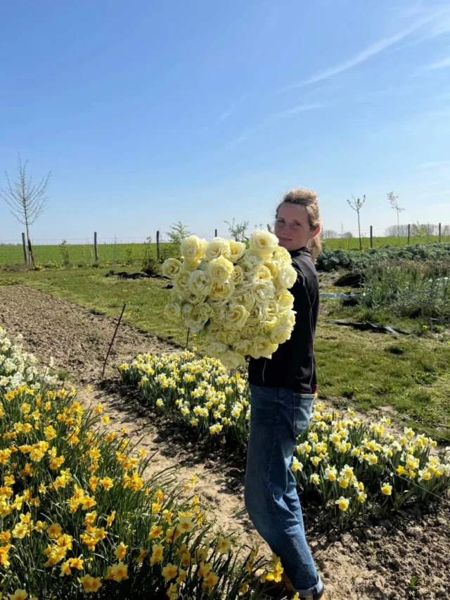 Parce qu’on a hâte que le printemps arrive, pas vous ? 😍🌼 

Les premiers semis d’annuelles rustiques s’épanouissent sous la serre... Les tulipes et narcisses commencent, eux aussi, à se réveiller... 🌱 Le planning des cultures a été peaufiné cet hiver... Et plusieurs gros chantiers sont prévus avec des nouveautés très attendues... ✨

On vous explique tout ca très vite ! 🤓

#fleurslocales #fleursdesaison #boutiquefleurie #slowflowersbelgique #pauletteadesfleurs