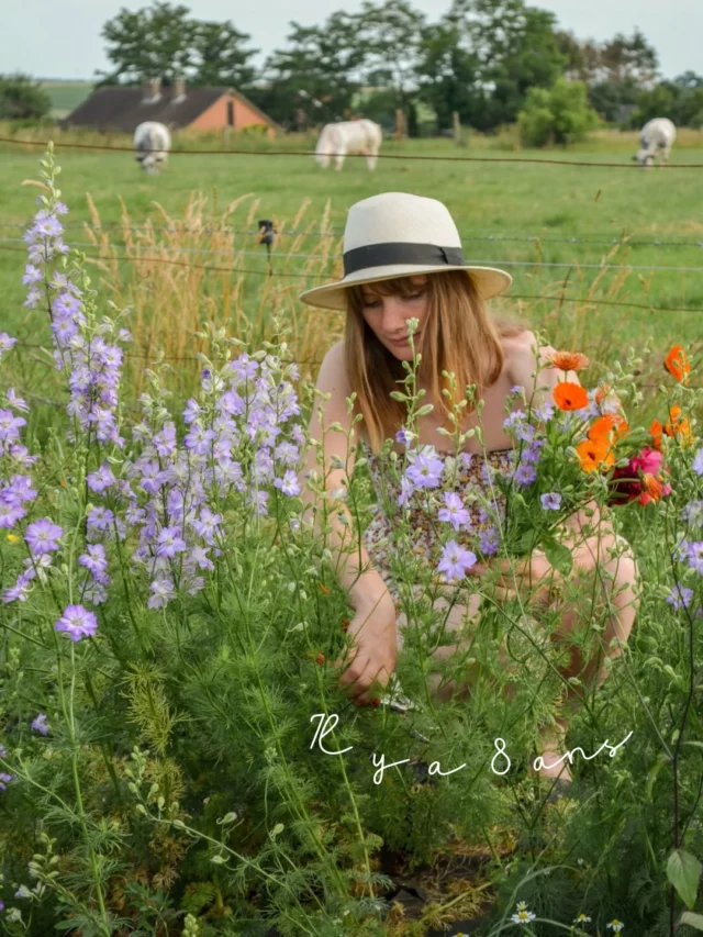 Vous étiez où il y a 8 ans ? ⏳

Moi j’avais les mains dans la terre et dans les livres... Je m’étais mise en tête de produire des fleurs belge locales et de saison. J’expérimentais sur un petit bout de terrain et je me demandais si j’arriverais à en vivre... Ensuite les premières fleurs sont apparues et je me suis dit « Ok je veux faire ce job FOREVER ! ». 😍

Pendant mes congés, je suis retombée sur des photos de mes débuts… J’avais quand même quelques rides en moins !

#fleurslocales #fleursdesaison #boutiquefleurie #slowflowersbelgique #pauletteadesfleurs